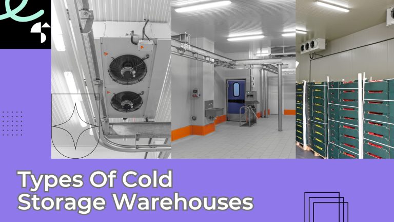 What Is a Cold Storage Warehouse and Why Your Business Needs One?